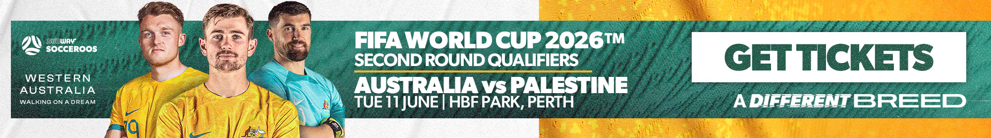 Socceroos v Palestine ticket banner