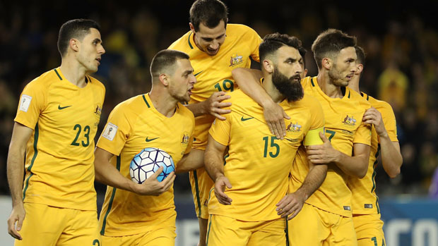Socceroos players celebrate Mile Jedinak's equaliser against Japan in October.