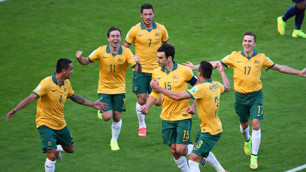 Socceroos players celebrate after Mile Jedinak's goal against Holland at the 2014 FIFA World Cup.