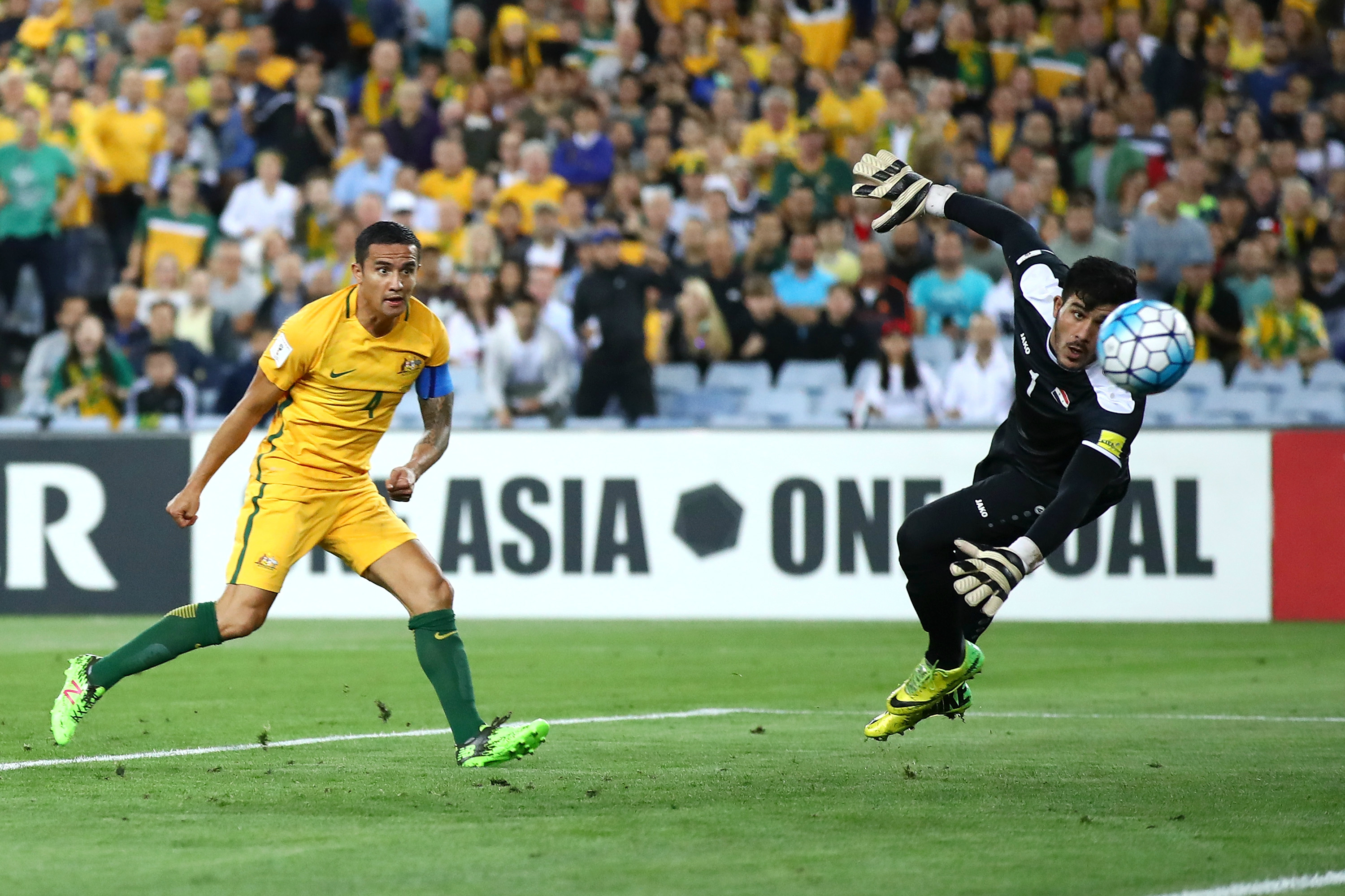 Tim Cahill Tim Cahill