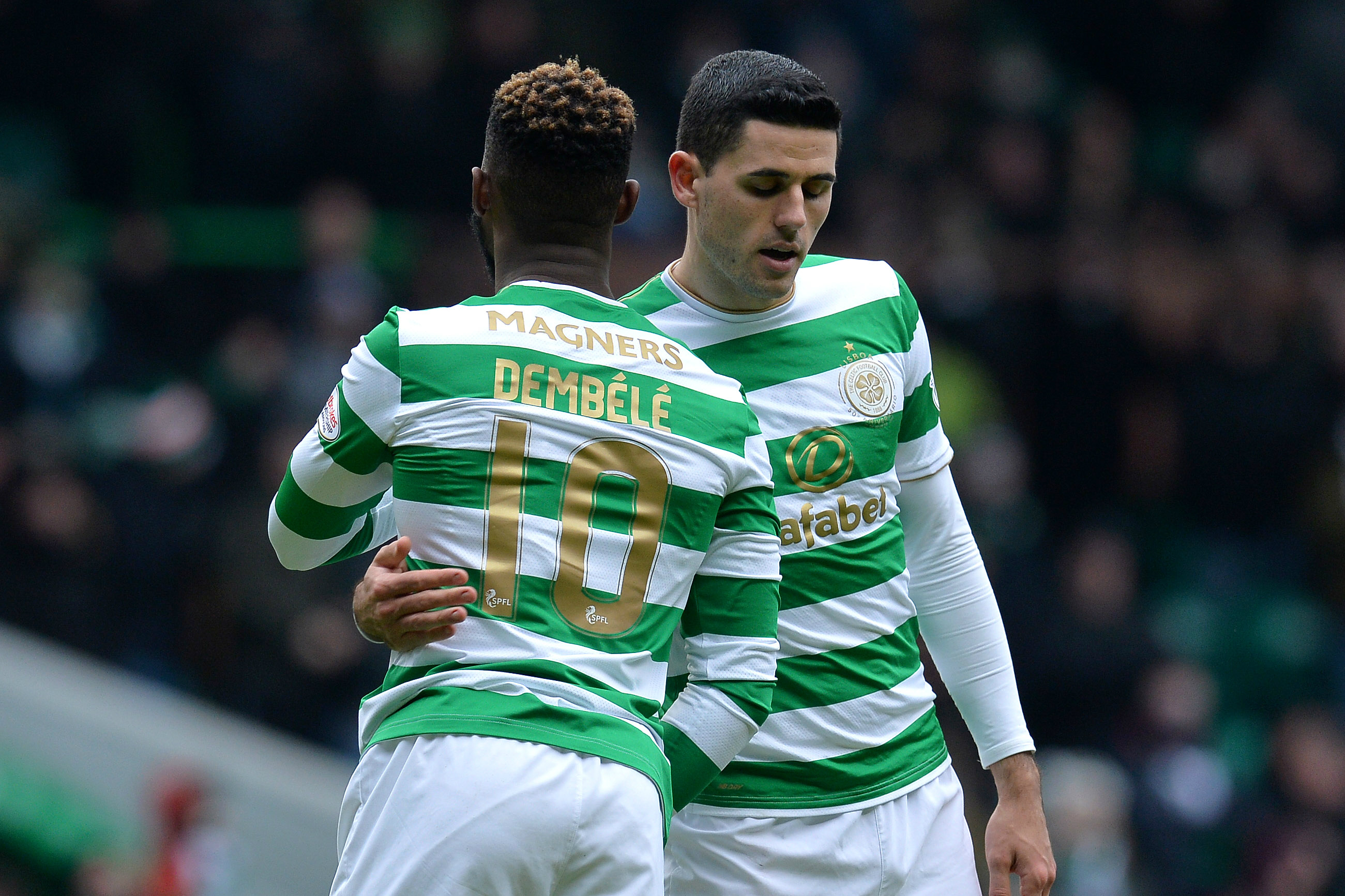 Rogic Rogic