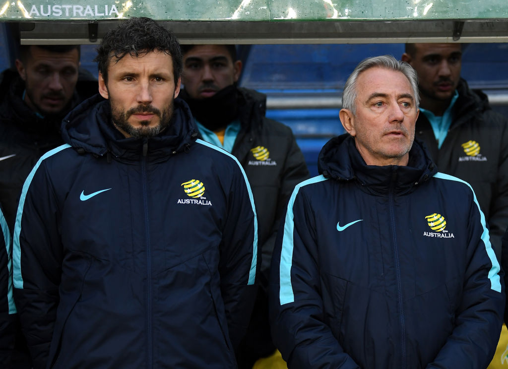 van marwijk van bommell van marwijk van bommell