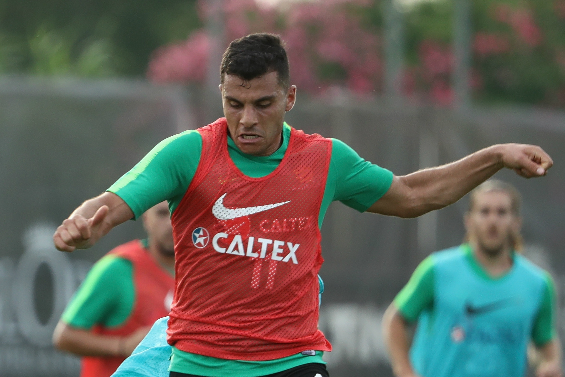 Andrew Nabbout Andrew Nabbout