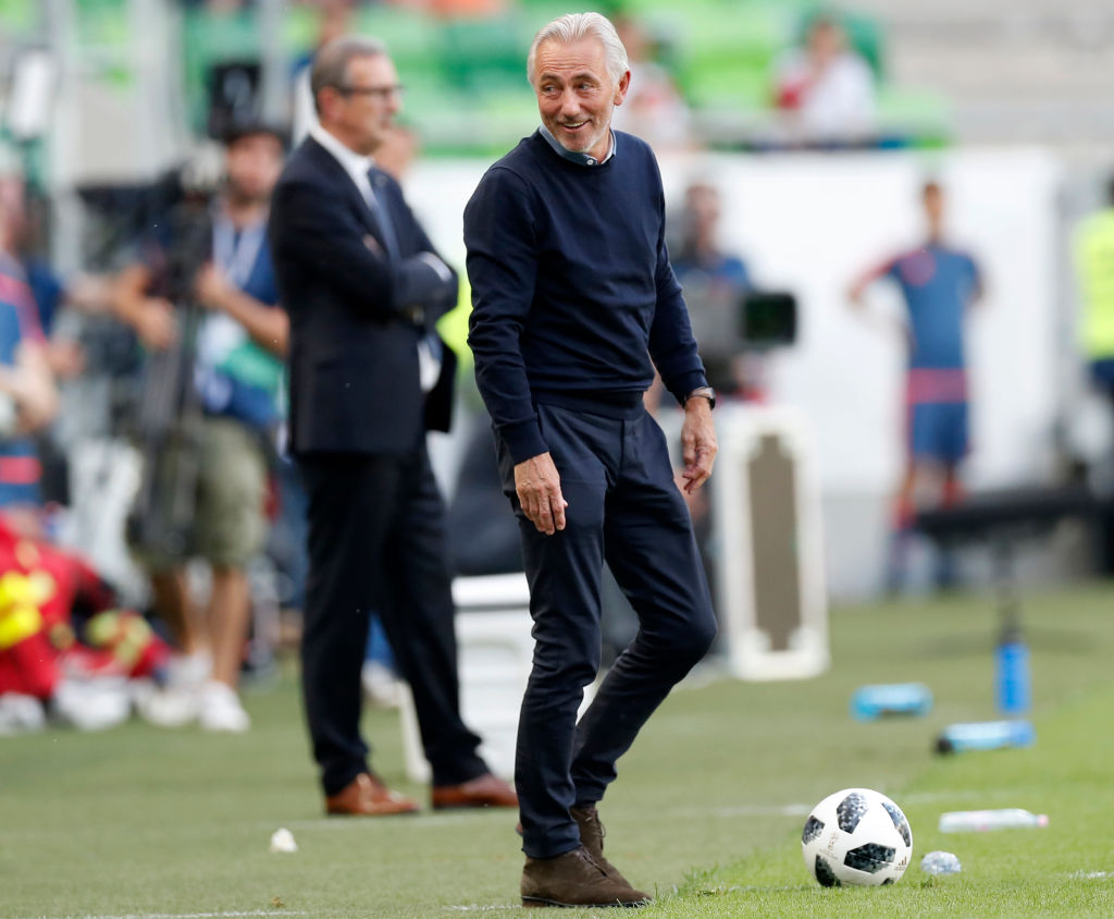 Bert van Marwijk during the Hungary game Bert van Marwijk during the Hungary game