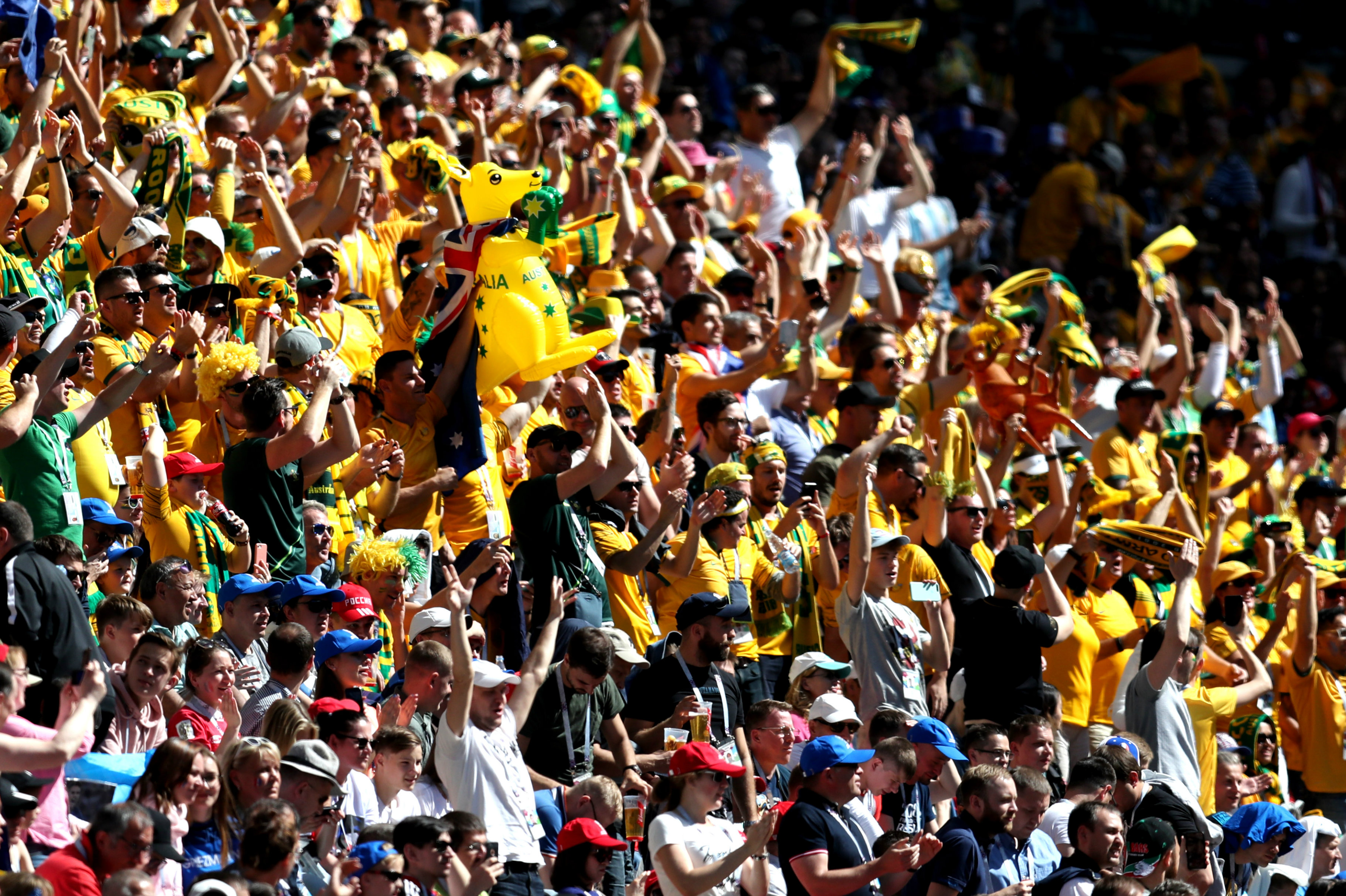 It was a sea of Green and Gold against France. It was a sea of Green and Gold against France.