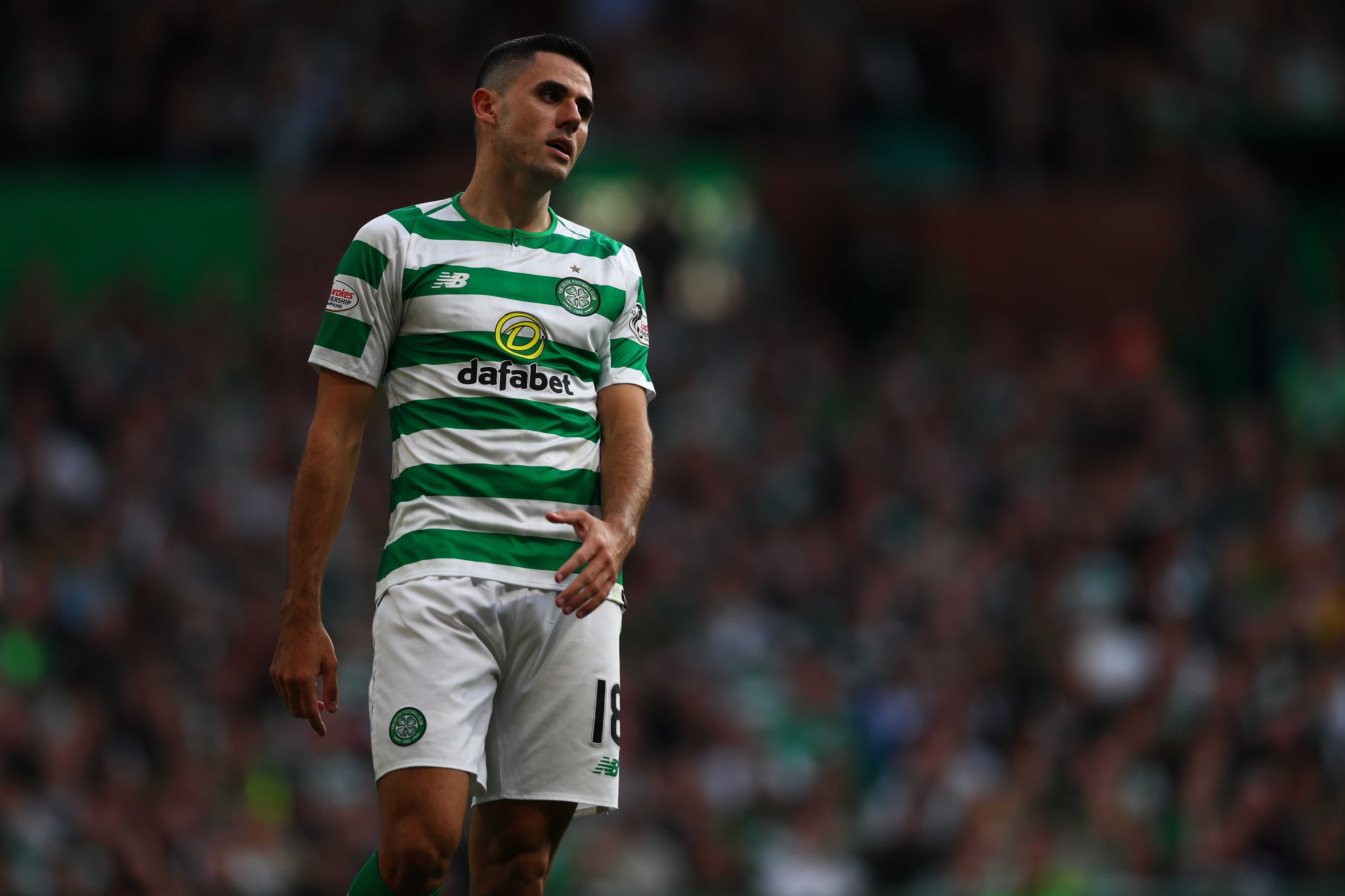 Rogic Rogic