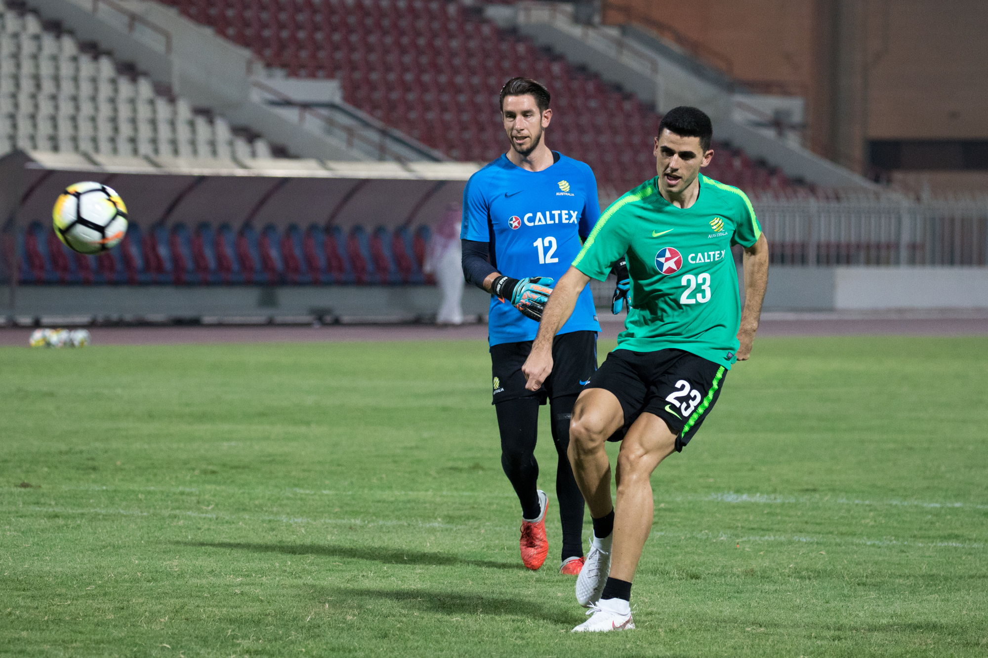Rogic Goal Net Rogic Goal Net