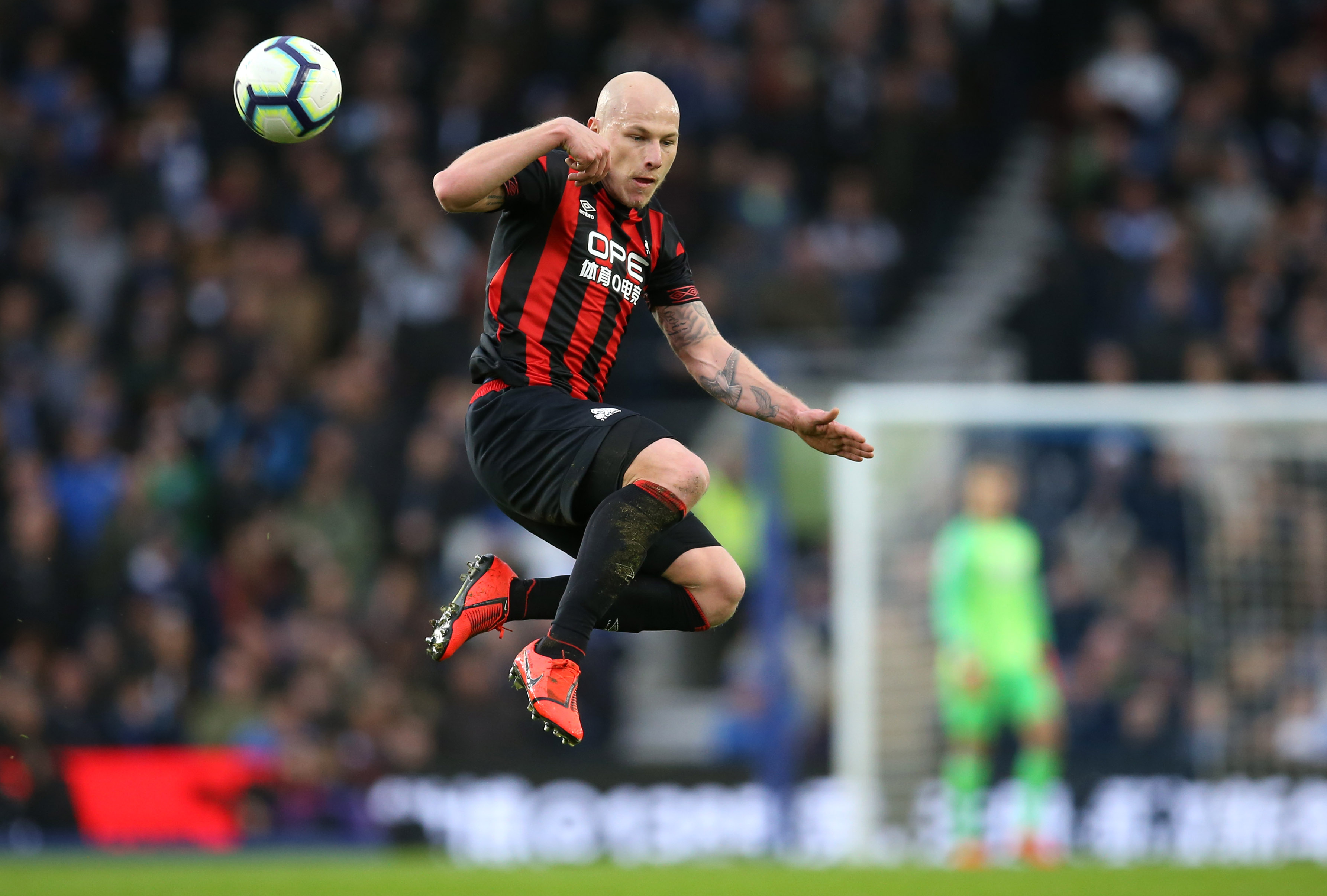 Mooy Mooy