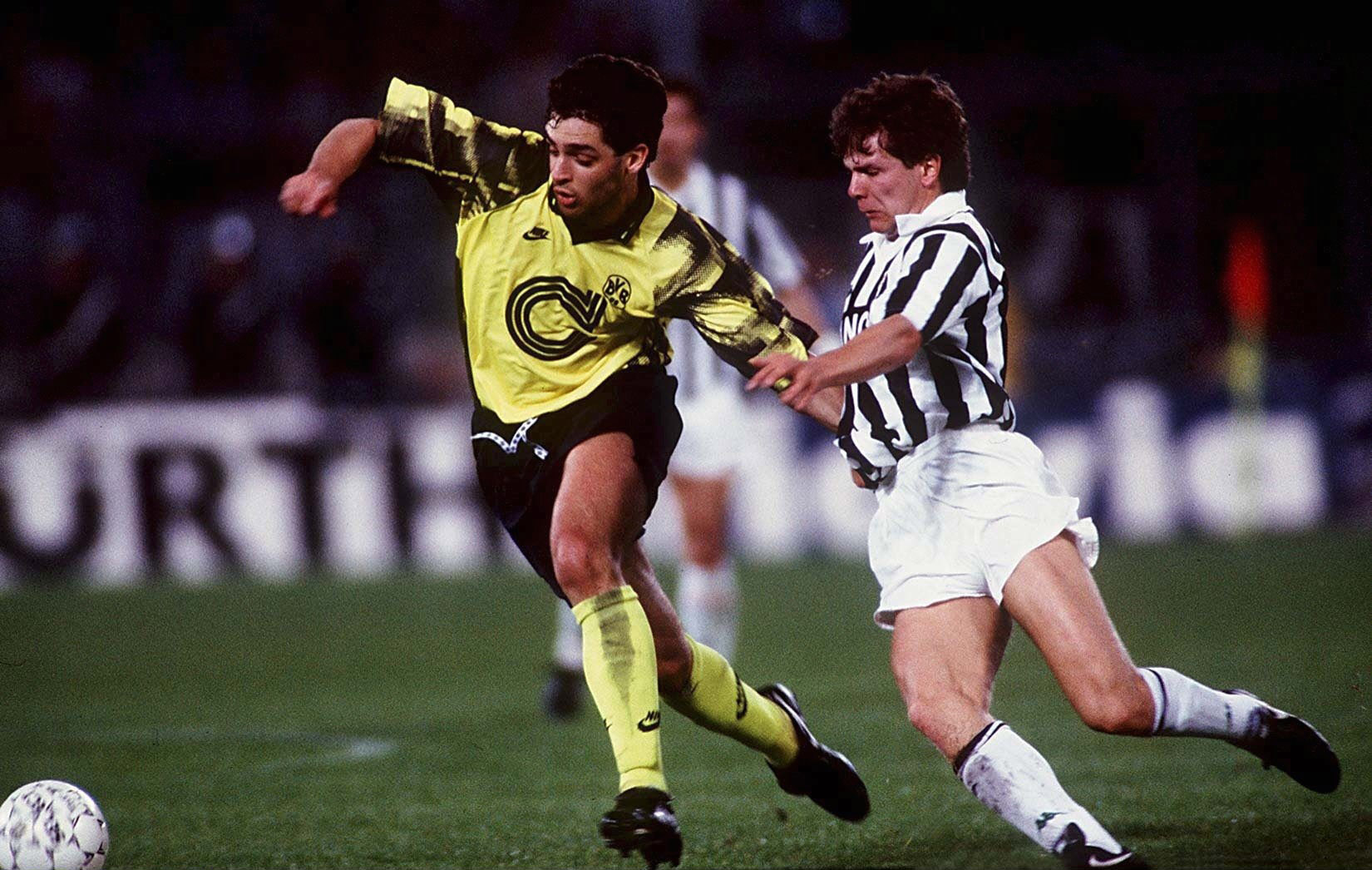 Zelic Zelic
