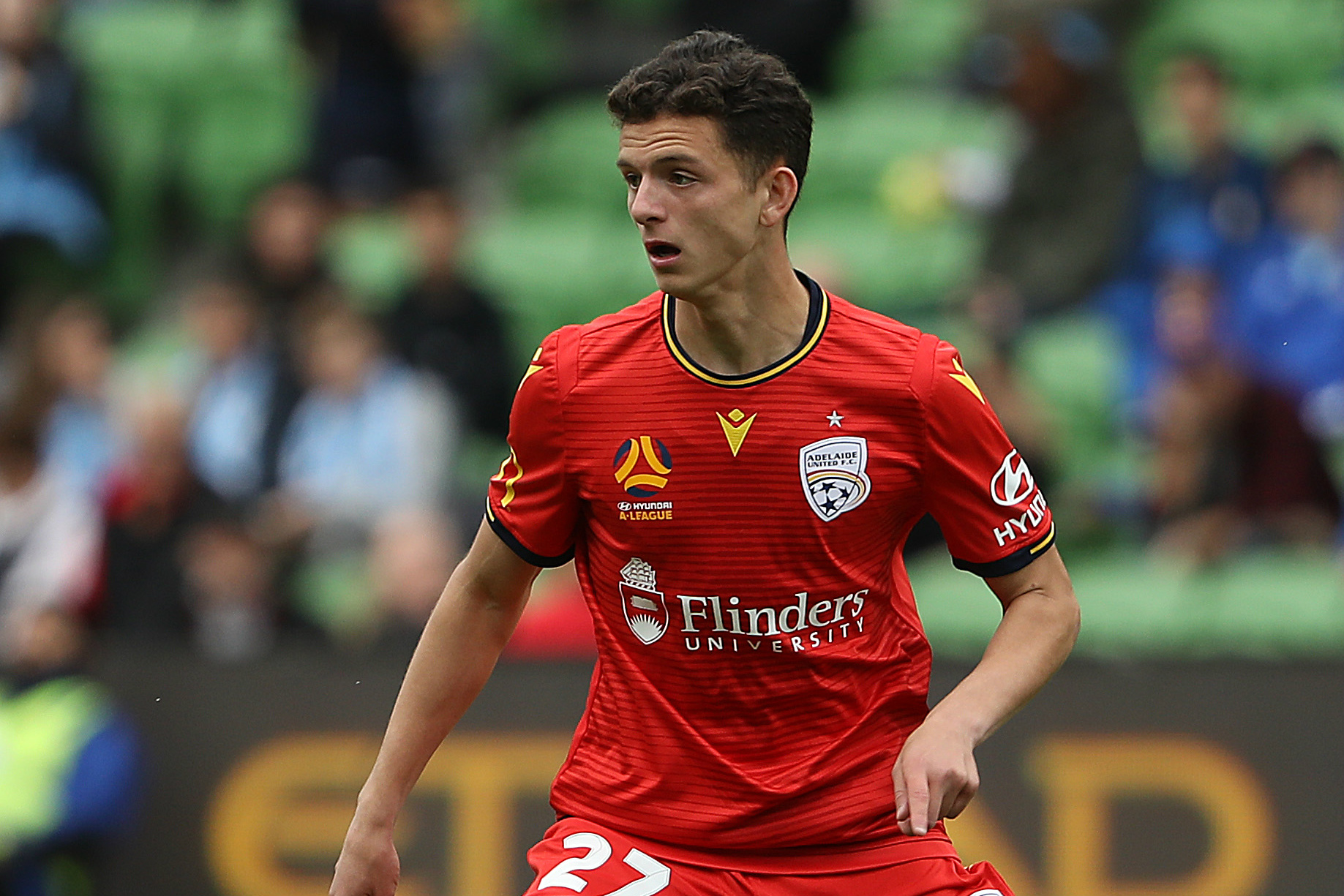Adelaide United's Louis D'Arrigo Adelaide United's Louis D'Arrigo