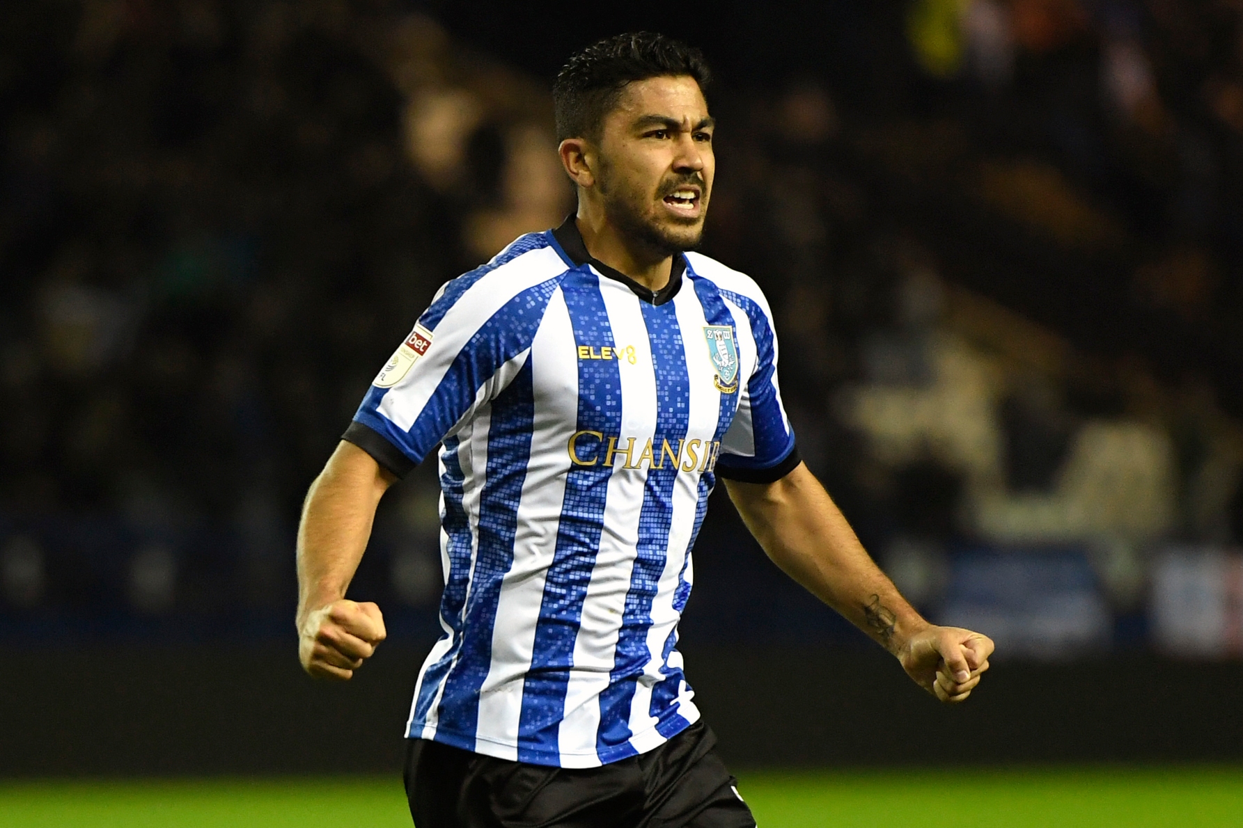 Massimo Luongo Massimo Luongo