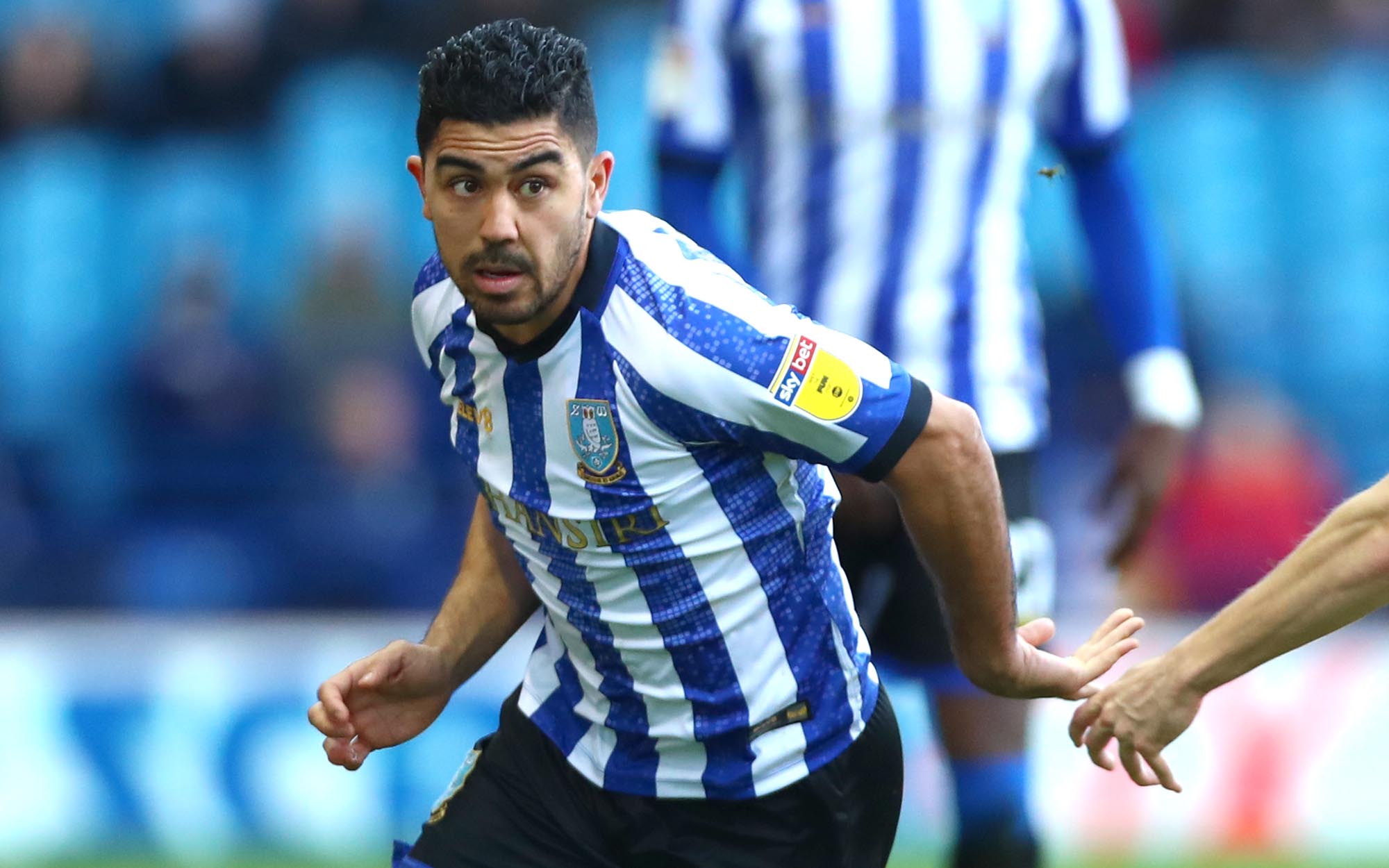 Massimo Luongo Massimo Luongo