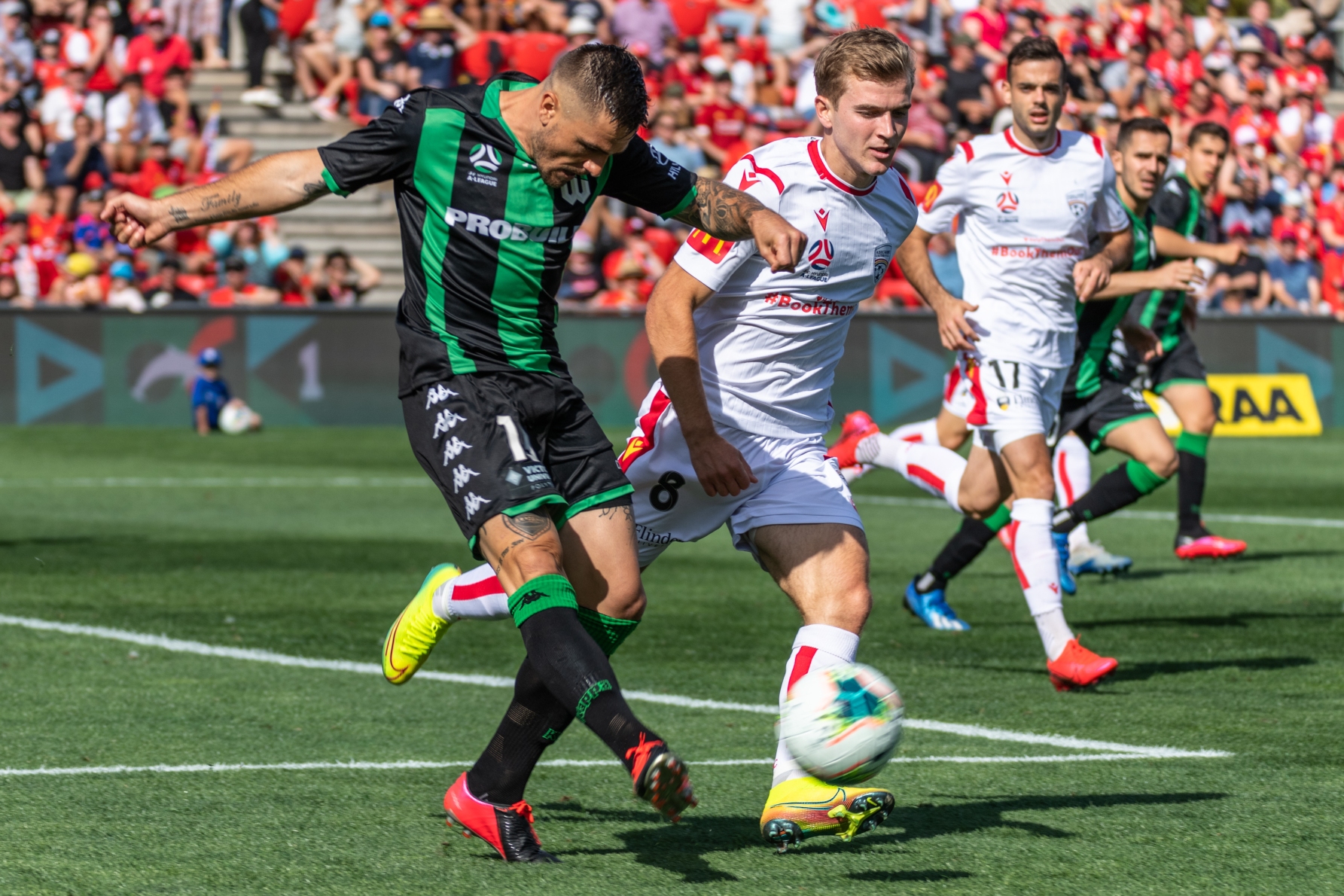 Josh Risdon Josh Risdon