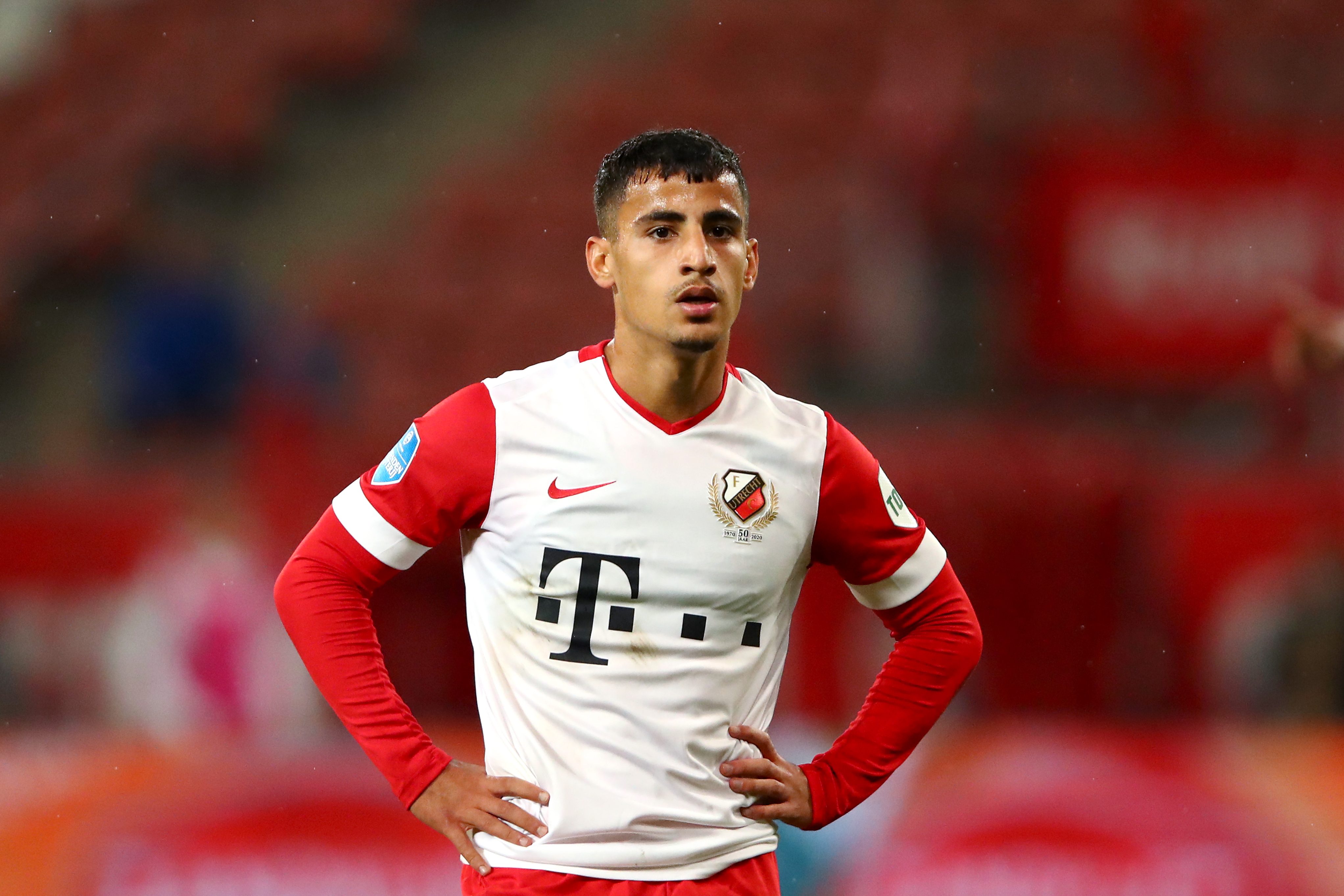 Arzani Arzani
