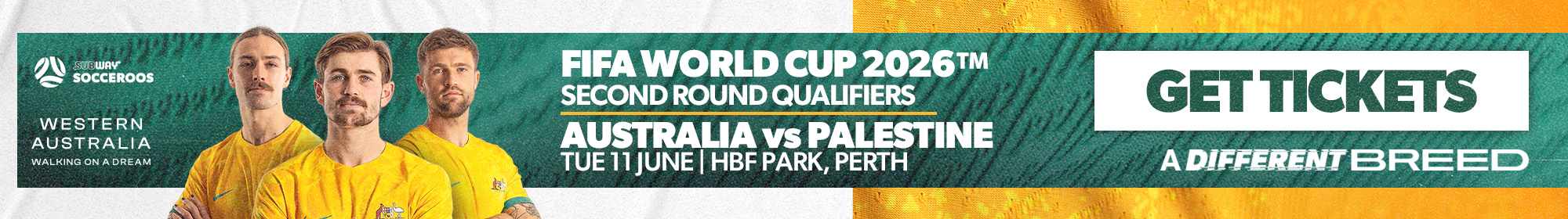 Socceroos v Palestine Ticket banner