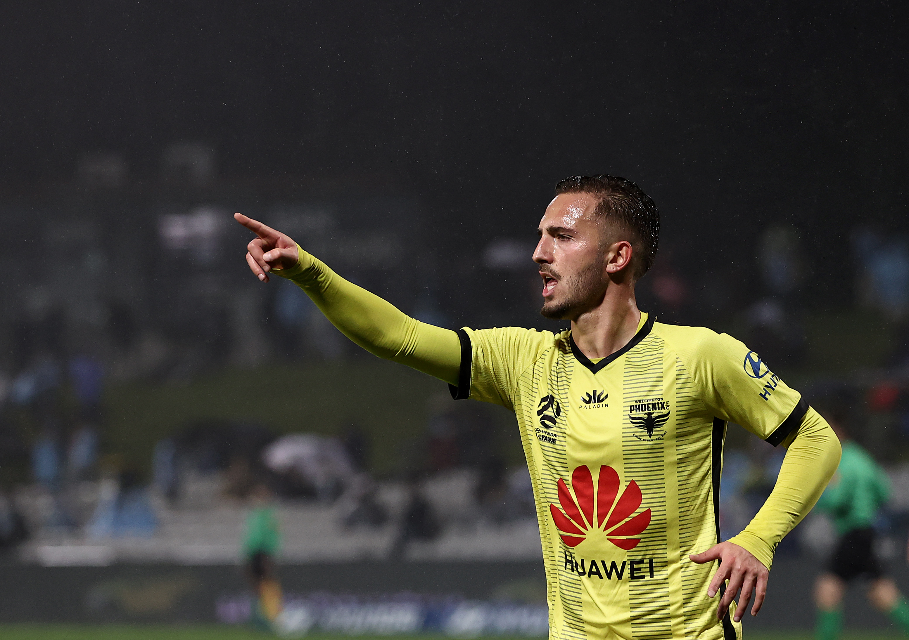 Piscopo is coming off a breakout season with Wellington in the A-League