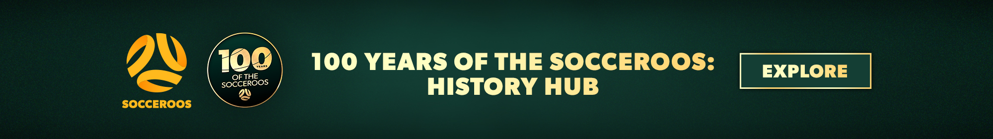 Pancarta delgada de 100 años de historia Hub