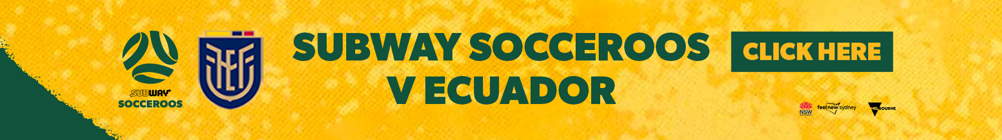 Socceroos v Ecuador thin Banner 
