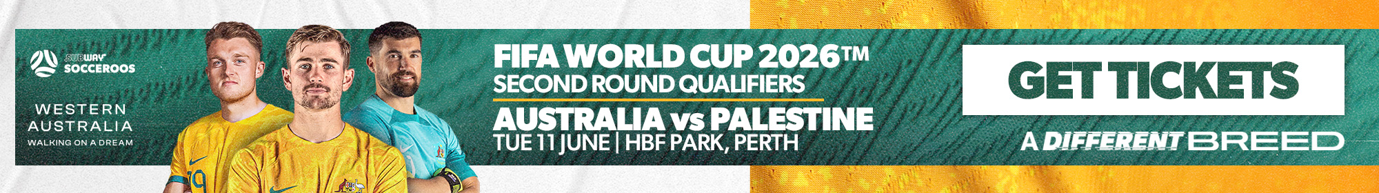 Socceroos v Palestine Ticket banner