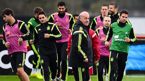 Vicente Del Bosque is set to make a call on his coaching future with Spain.