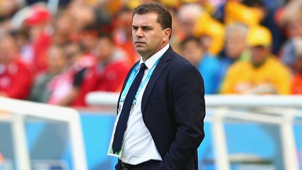Ange Postecoglou looks on during Australia's 3-2 loss to the Netherlands.