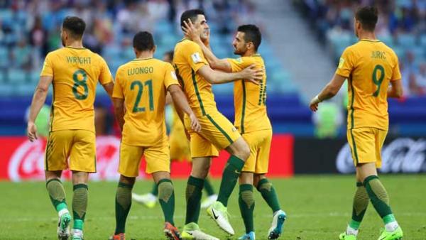 The Caltex Socceroos celebrate Tom Rogic's goal in the first half against Germany.