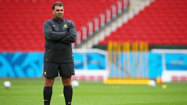 Coach Ange Postecoglou presides over Socceroos training ahead of their encounter with the Netherlands.